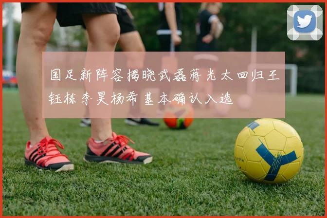 国足新阵容揭晓武磊蒋光太回归王钰栋李昊杨希基本确认入选