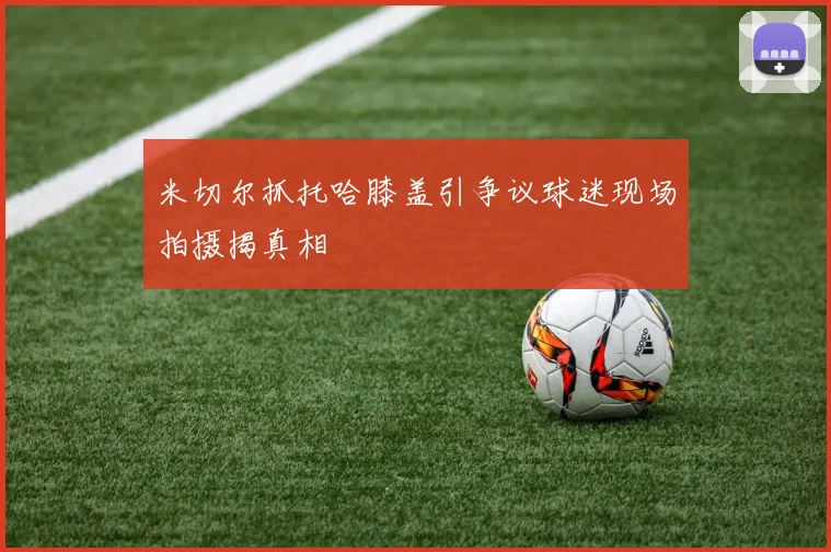 米切尔抓托哈膝盖引争议球迷现场拍摄揭真相