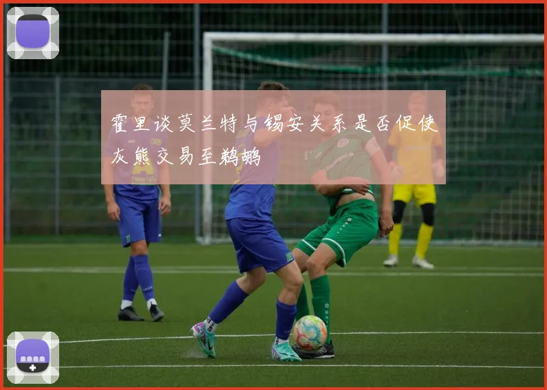 霍里谈莫兰特与锡安关系是否促使灰熊交易至鹈鹕